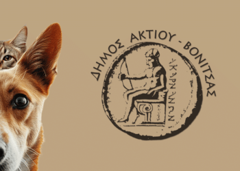 Ανακοίνωση για Σίτιση Αδέσποτων Ζώων από τον Δήμο Ακτίου Βόνιτσας