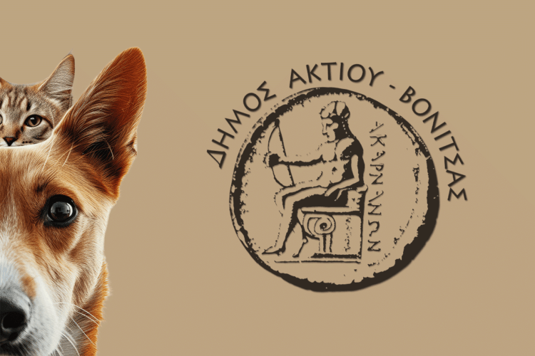 Ανακοίνωση για Σίτιση Αδέσποτων Ζώων από τον Δήμο Ακτίου Βόνιτσας
