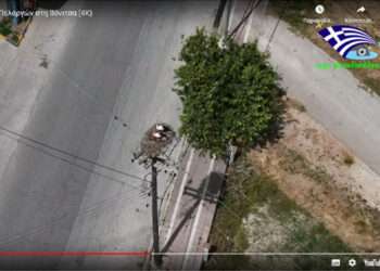 Η φωλιά των Πελαργών στη Βόνιτσα (4K)