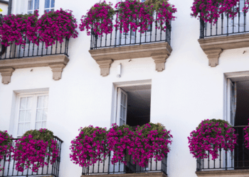 “ΑνθίΖΩ την Πόλη μου”: Πως οι Πολίτες του Ηρακλείου Ανανεώνουν την Αστική Καθημερινότητα με Λουλούδια