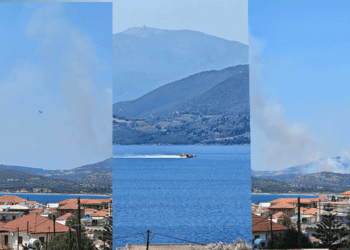 Πυρκαγιά στην Πογωνιά, Θέση Κεχρoπούλα: Η Κινητοποίηση της Πυροσβεστικής και η Αντίδραση των Αρχών