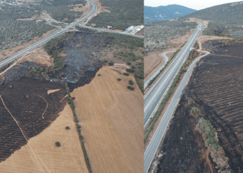 Μετά την Φωτιά Στην Βόνιτσα: Εικόνες και Βίντεο από την Επόμενη Μέρα