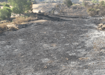 Η Φωτιά στη Βόνιτσα Έσβησε – Τι Άφησε Πίσω της…