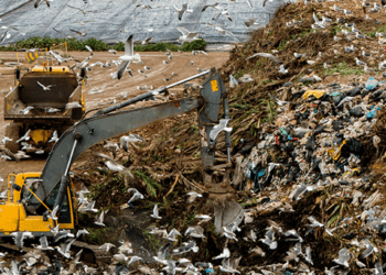 Νέες Αλλαγές στη Διαχείριση Απορριμμάτων: Τι Σημαίνει για τους Δήμους και τους Πολίτες
