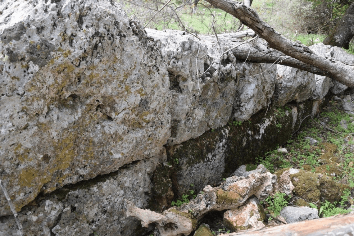 Το Αρχαίο Θέατρο Φοιτιών: Στην Πορεία για την Αναβίωσή του