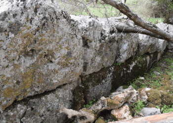 Το Αρχαίο Θέατρο Φοιτιών: Στην Πορεία για την Αναβίωσή του