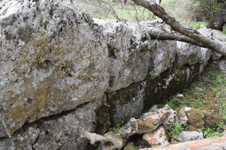Το Αρχαίο Θέατρο Φοιτιών: Στην Πορεία για την Αναβίωσή του