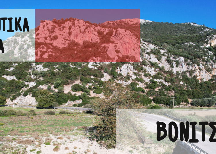 Ακόμα Μία Δραστηριότητα Στην Βόνιτσα: Αναρρίχηση Σε Τρία Πεδία