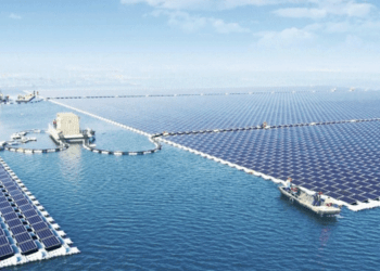 Φωτοβολταϊκό Πάρκο στον Αμβρακικό: Οικολογικές Αντιδράσεις και Κάλεσμα Δράσης