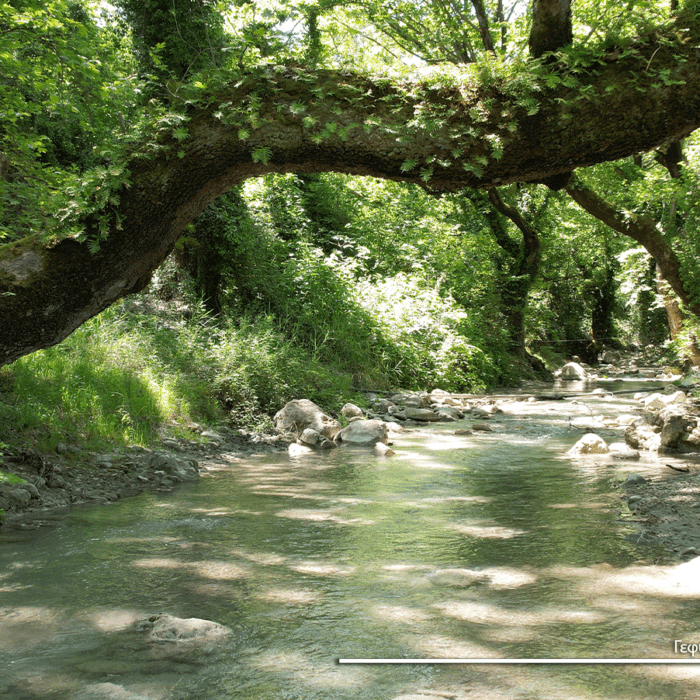Νήσσα1ι