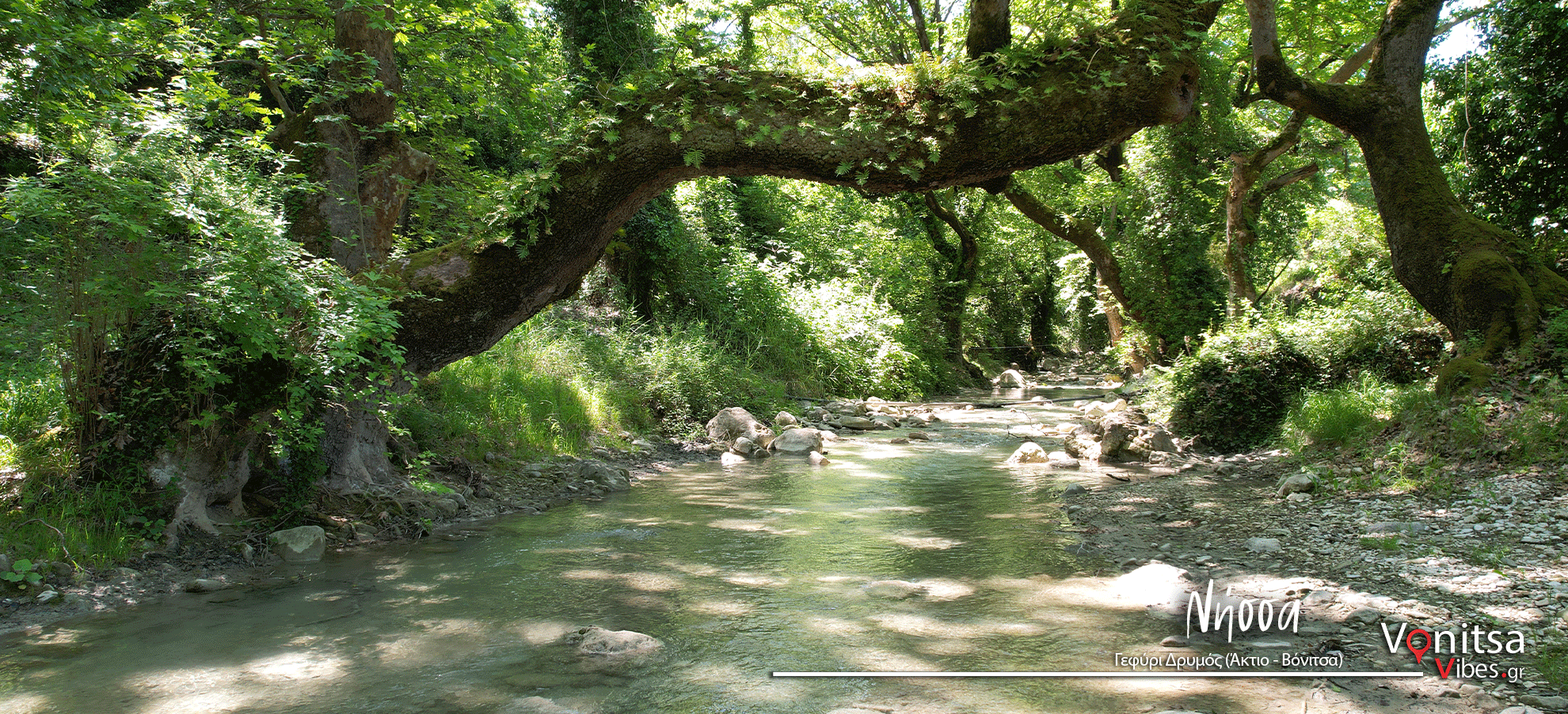 Νήσσα1ι