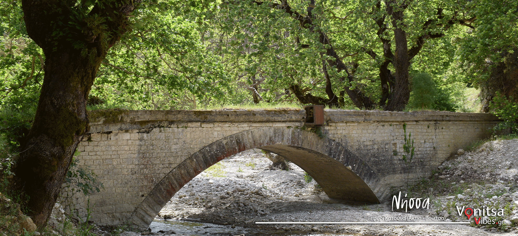 Νήσσα9