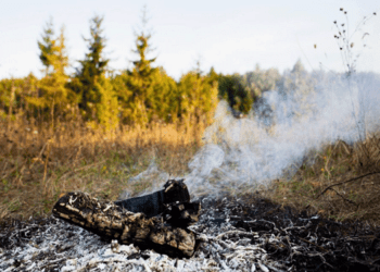 Μεταφορά ευθυνών σε ιδιώτες και δήμους: Το νέο πλαίσιο καθαρισμού οικοπέδων