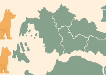 Πόροι για τη διαχείριση αδέσποτων ζώων: Η κατανομή στους δήμους της Αιτωλοακαρνανίας